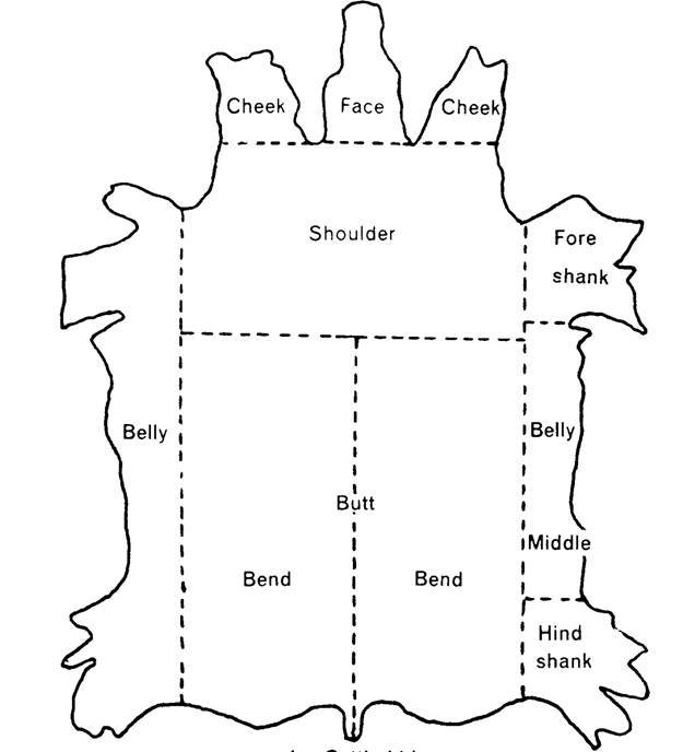 Parts of a hide